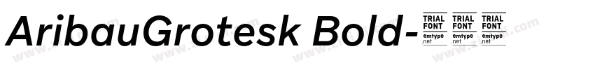 AribauGrotesk Bold字体转换